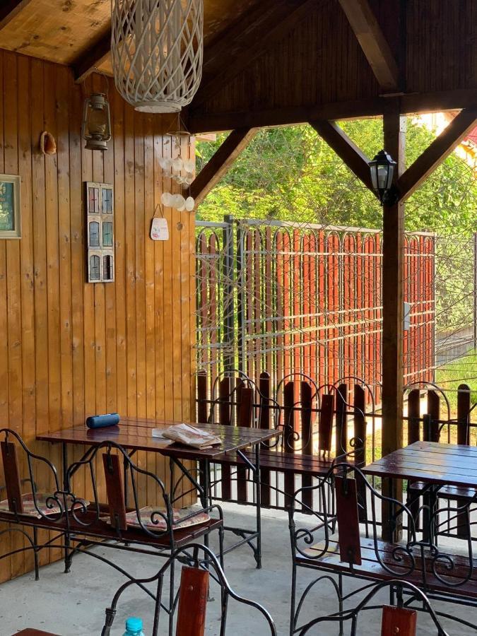 Hotel Casa Tudorascu Vama Veche Zewnętrze zdjęcie