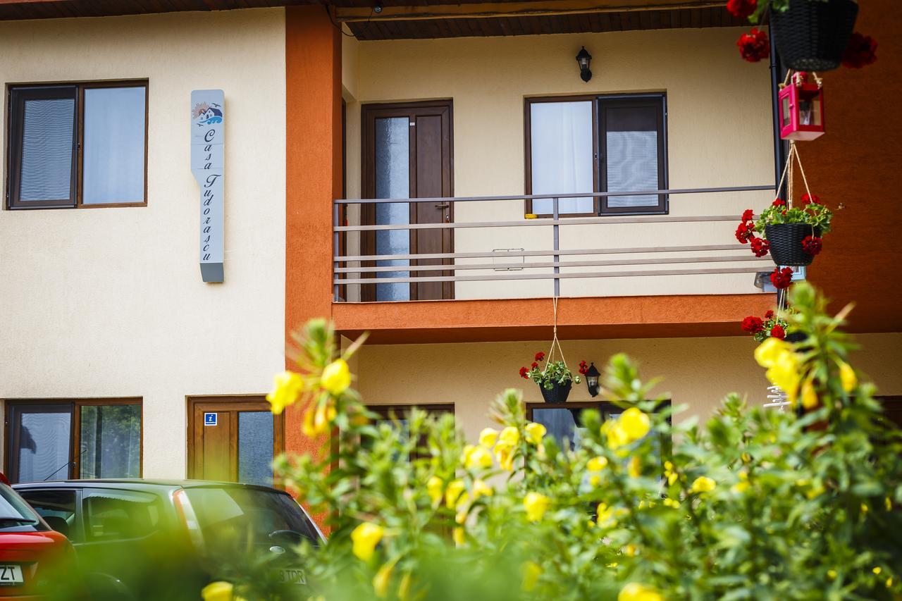 Hotel Casa Tudorascu Vama Veche Zewnętrze zdjęcie