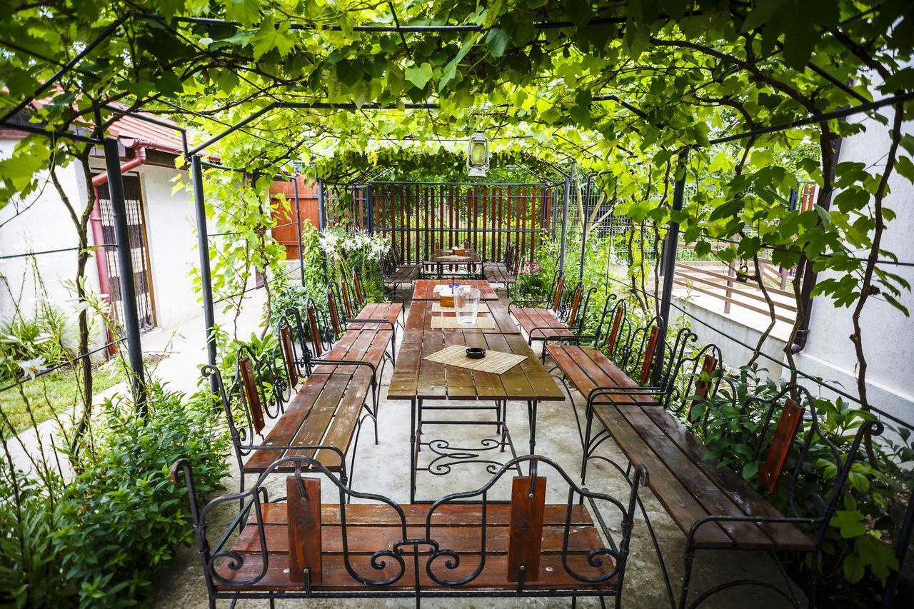 Hotel Casa Tudorascu Vama Veche Zewnętrze zdjęcie