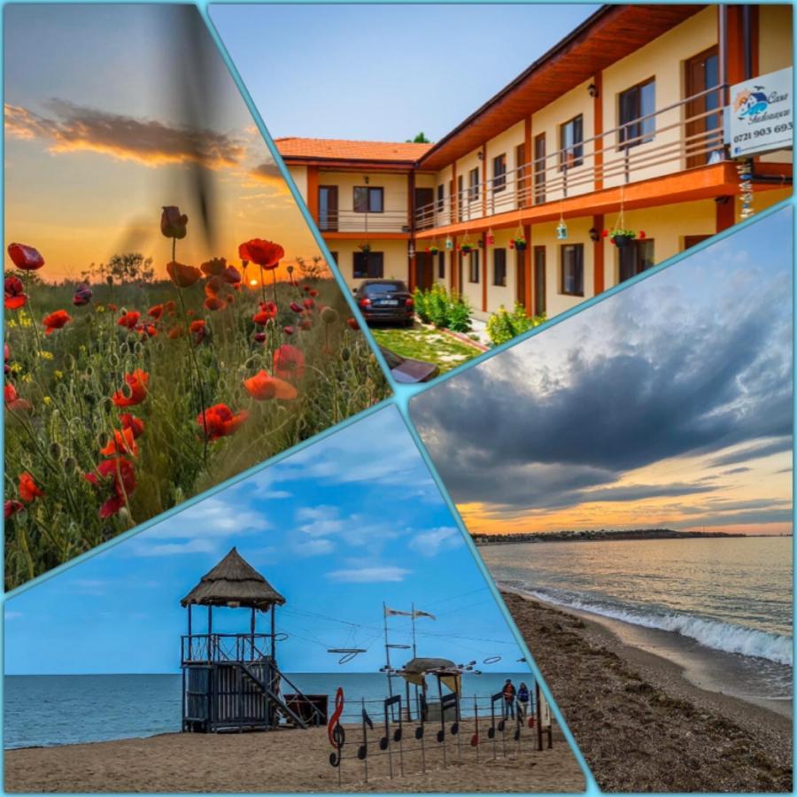 Hotel Casa Tudorascu Vama Veche Zewnętrze zdjęcie